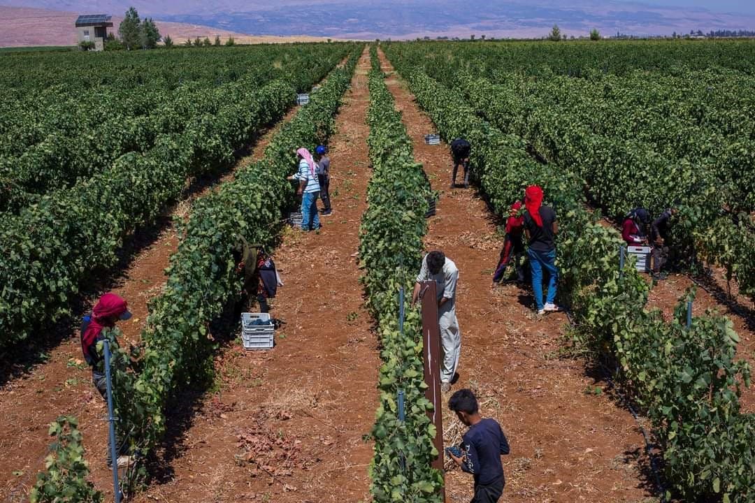 Timeline image for 2013